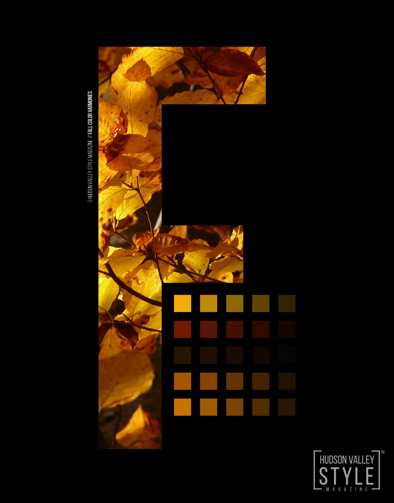 Hudson Valley Style Magazine / Fall Color Harmonies/ Maxwell Alexander Design / Typography / Graphic Design