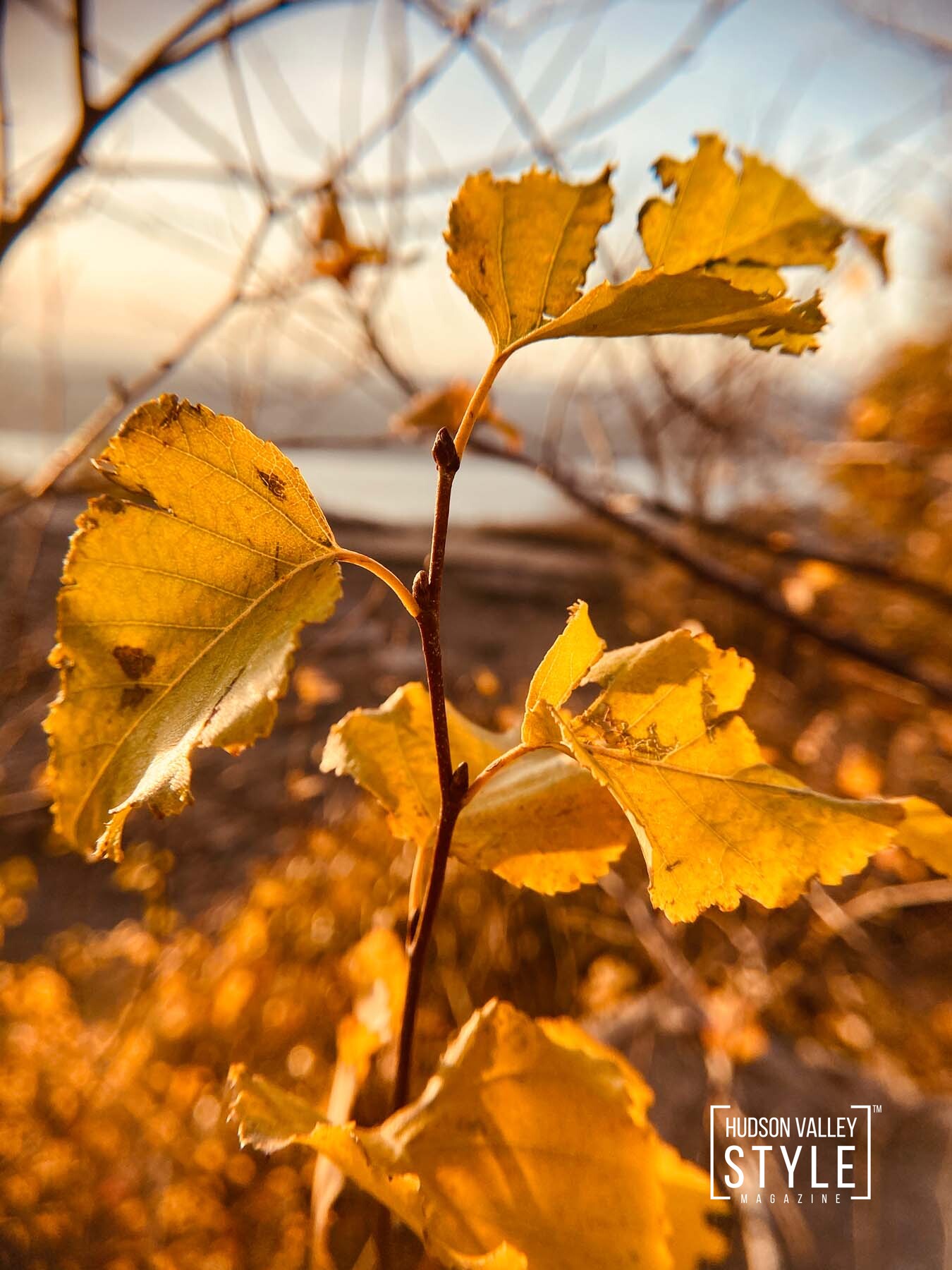 Fall Season in the Hudson Valley – Fine Art Nature Photography by Maxwell Alexander © 2021 Duncan Avenue Studios