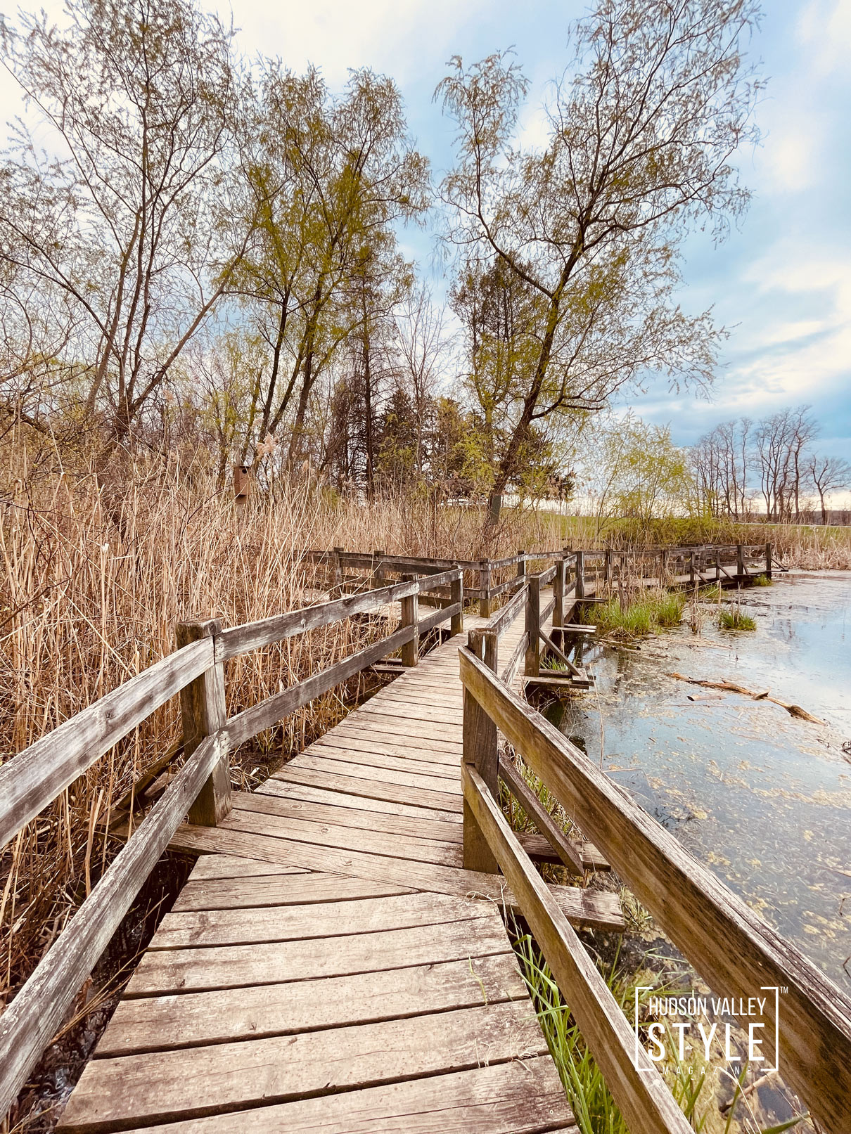 The Magic of Spring – Photographer Maxwell Alexander Shares a Photo Story from Hudson Valley's Bowdoin Park – Nature Photography – Photo Gallery