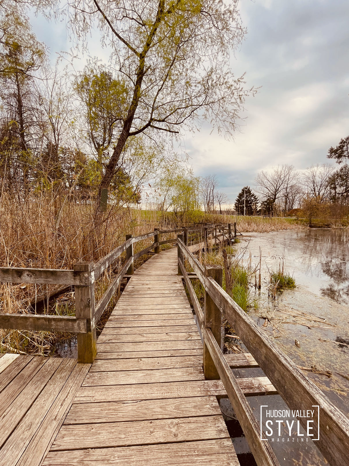 The Magic of Spring – Photographer Maxwell Alexander Shares a Photo Story from Hudson Valley's Bowdoin Park – Nature Photography – Photo Gallery