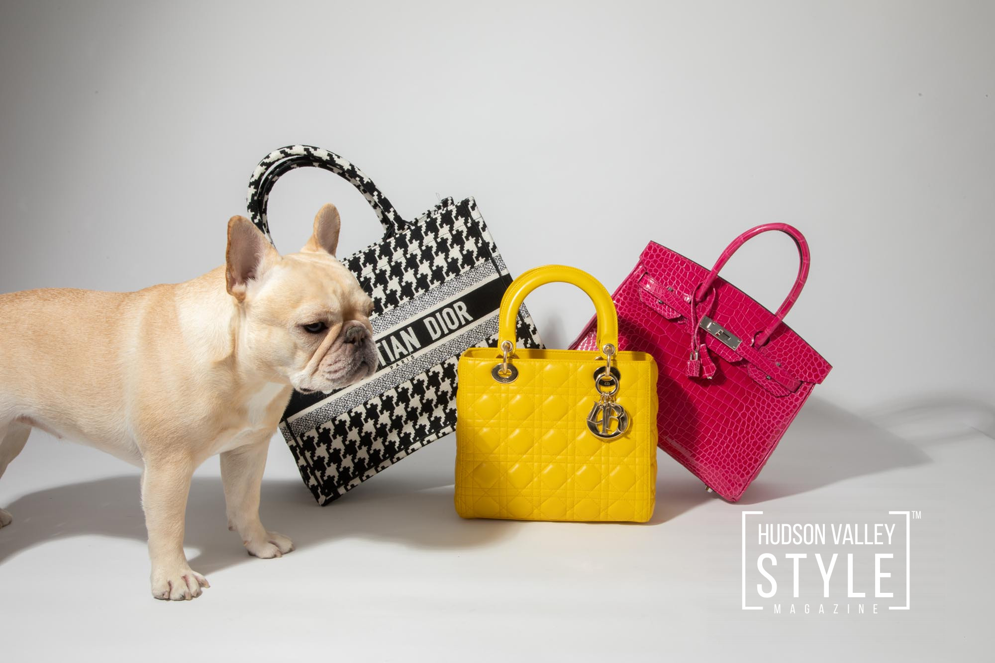 4 Reasons Why You Should Buy Preowned Designer Fashion Accessories