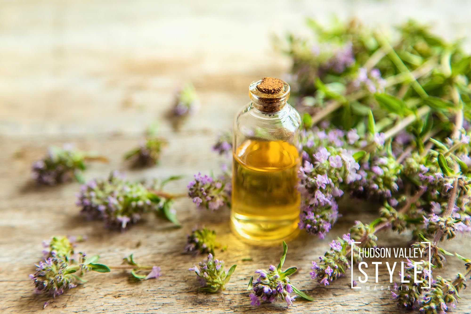 Harnessing the Power of Nature: Essential Oils as Eco-Friendly Bug Repellents