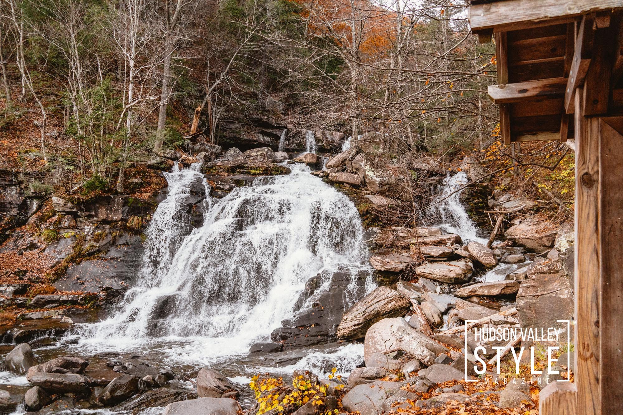Escape to the Catskills: Airbnb Review of the Tiny Cabin Retreat By Photographer Maxwell Alexander – Presented by Alluvion Vacations – Upstate, NY Airbnb Photography – Alluvion Media
