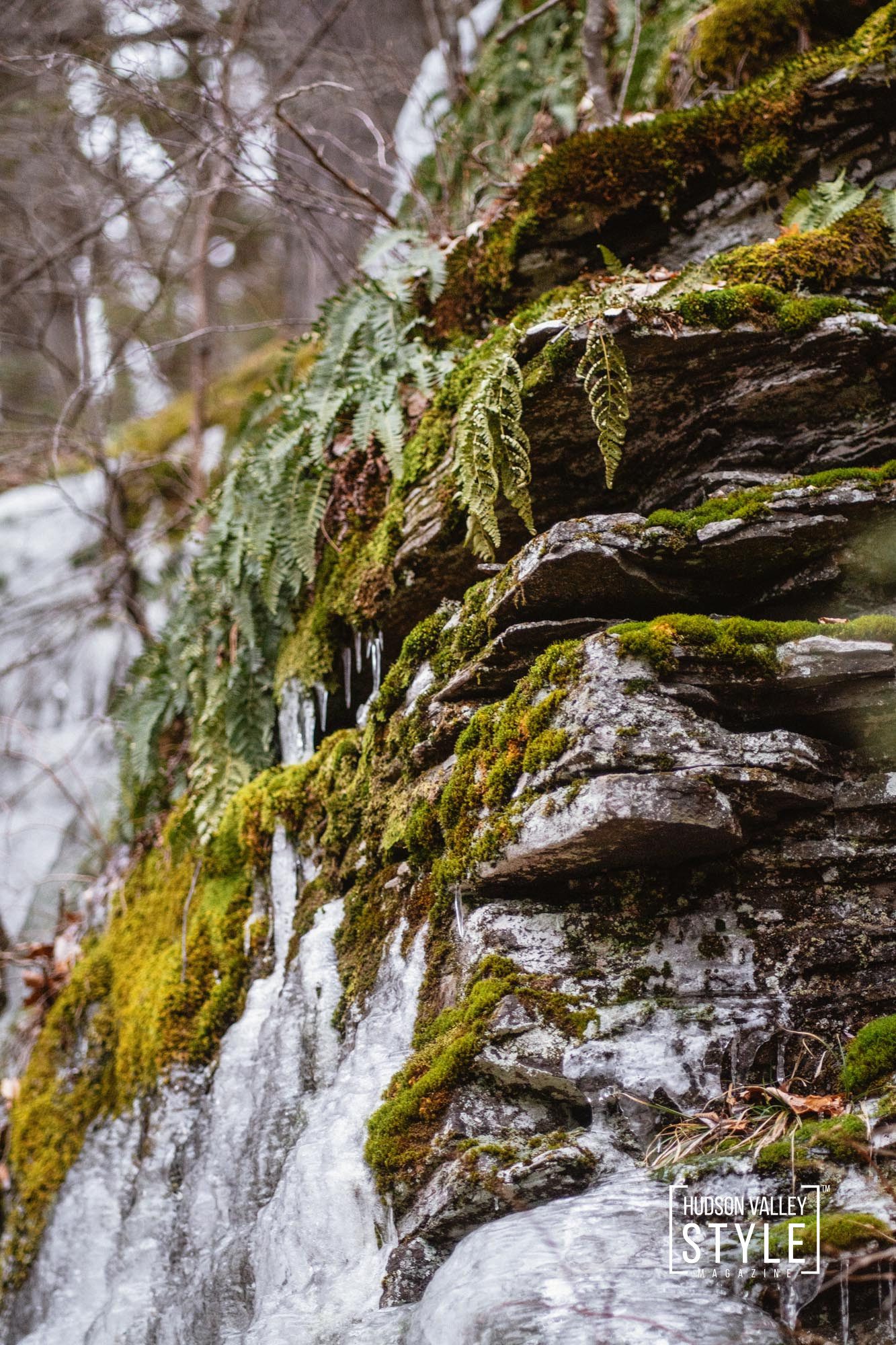 Exploring the Beauty and Mystery of Overlook Mountain in Woodstock: A Photographic Journey with Maxwell Alexander – Hudson Valley and Catskills Hiking Trails