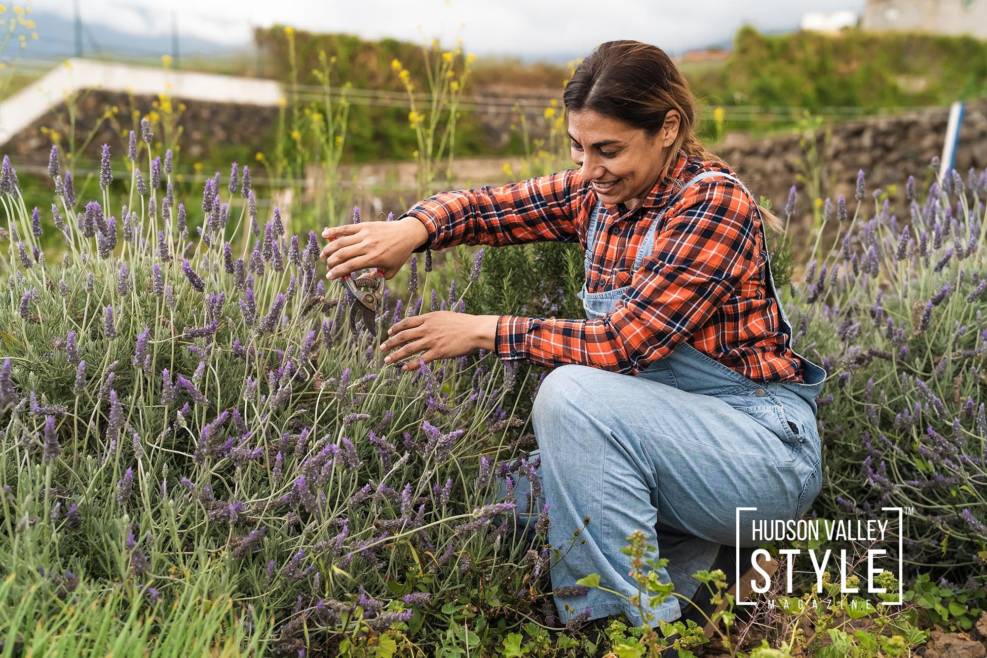 Small-Scale Farming in the Hudson Valley: A Revitalization Powered by Farm Tourism – by Maxwell Alexander, EIC, Hudson Valley Style Magazine