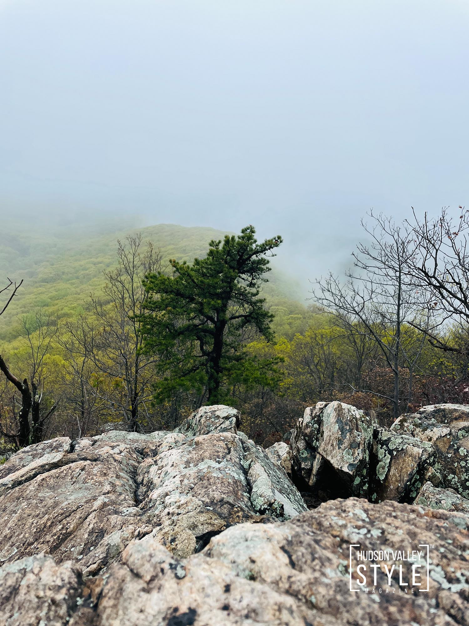 Escape to Nature: Photographing The Beauty of Spring Nature While Hiking Mt. Beacon in Beacon, NY – Hudson Valley Hiking Adventures with Photographer Maxwell Alexander – Presented by Alluvion Vacations – Best Airbnb Listings in Hudson Valley and Catskills
