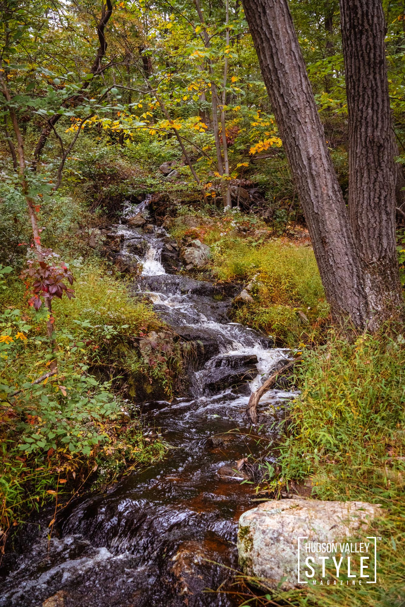 Harriman's Autumn Tapestry: A Photographer's Journey by Nature Photographer Maxwell Alexander – Harriman State Park, Tuxedo, NY – Presented by Alluvion Vacations