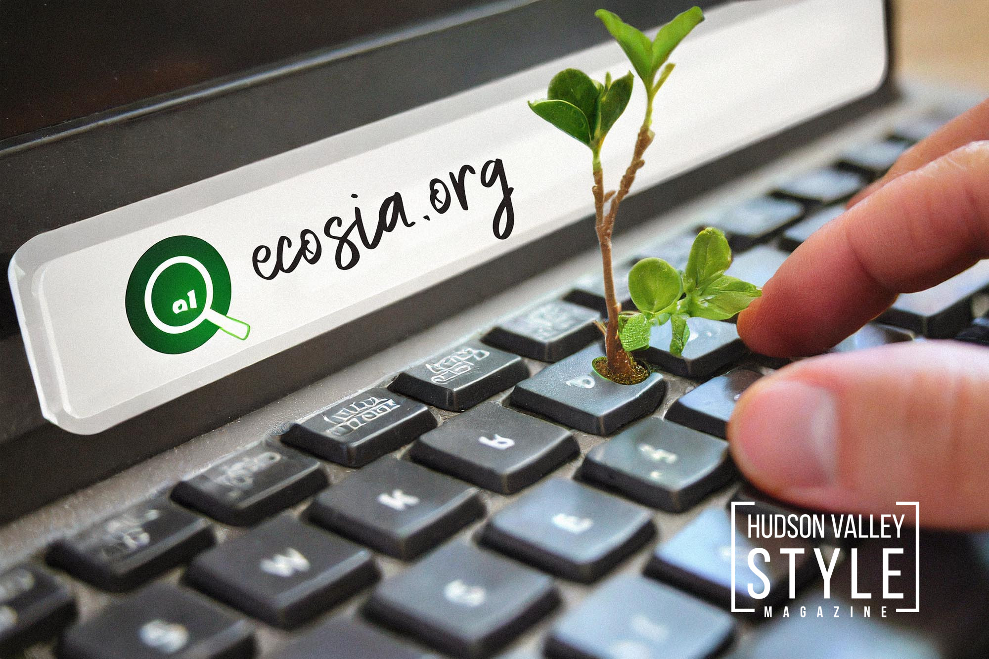 Non-Profit Search Engine Alert: Ecosia Leads the Charge for the Next Generation of Eco-Conscious Web Surfers! – Climate Change