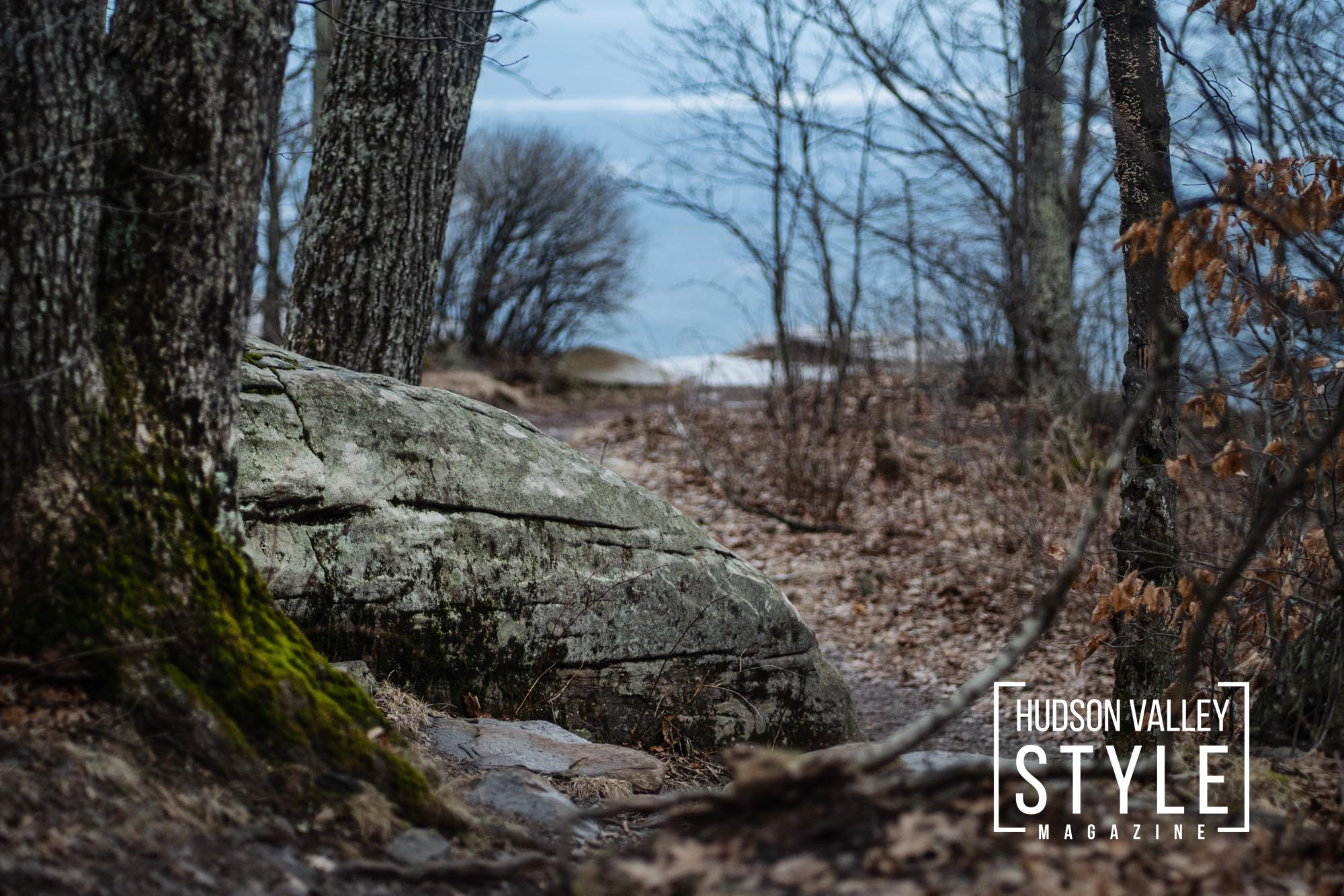 Top 10 Hiking Trails Near Catskill Park: A Guide for Outdoor Enthusiasts - Enhancing Wellness, Mental Health, and Fitness – Presented by Alluvion Vacations – Nature Photography by Maxwell Alexander