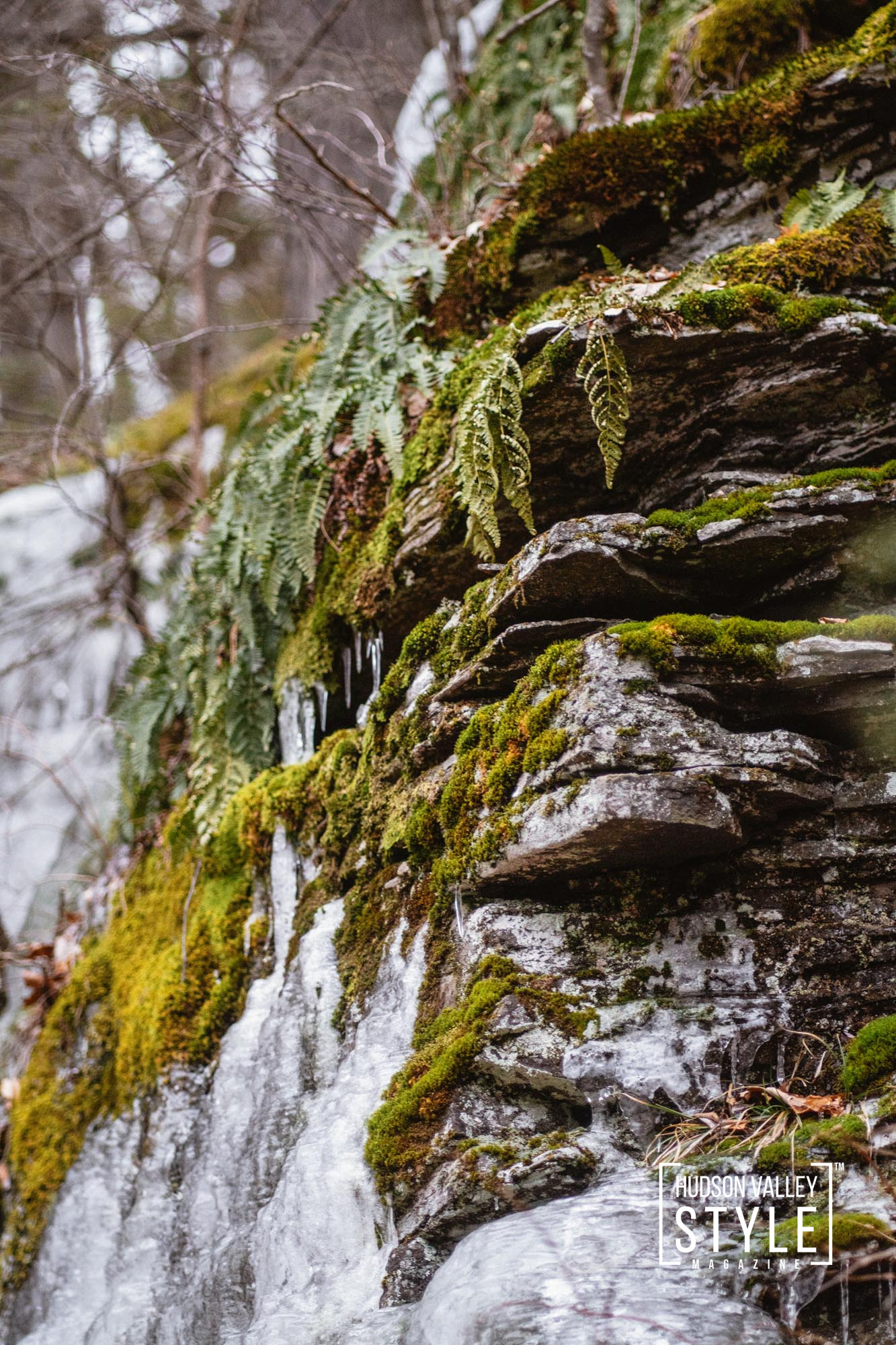 Embrace the Chill: Finding Winter Magic in the Hudson Valley Forests – Photography By Maxwell Alexander, EIC & Wellness Editor