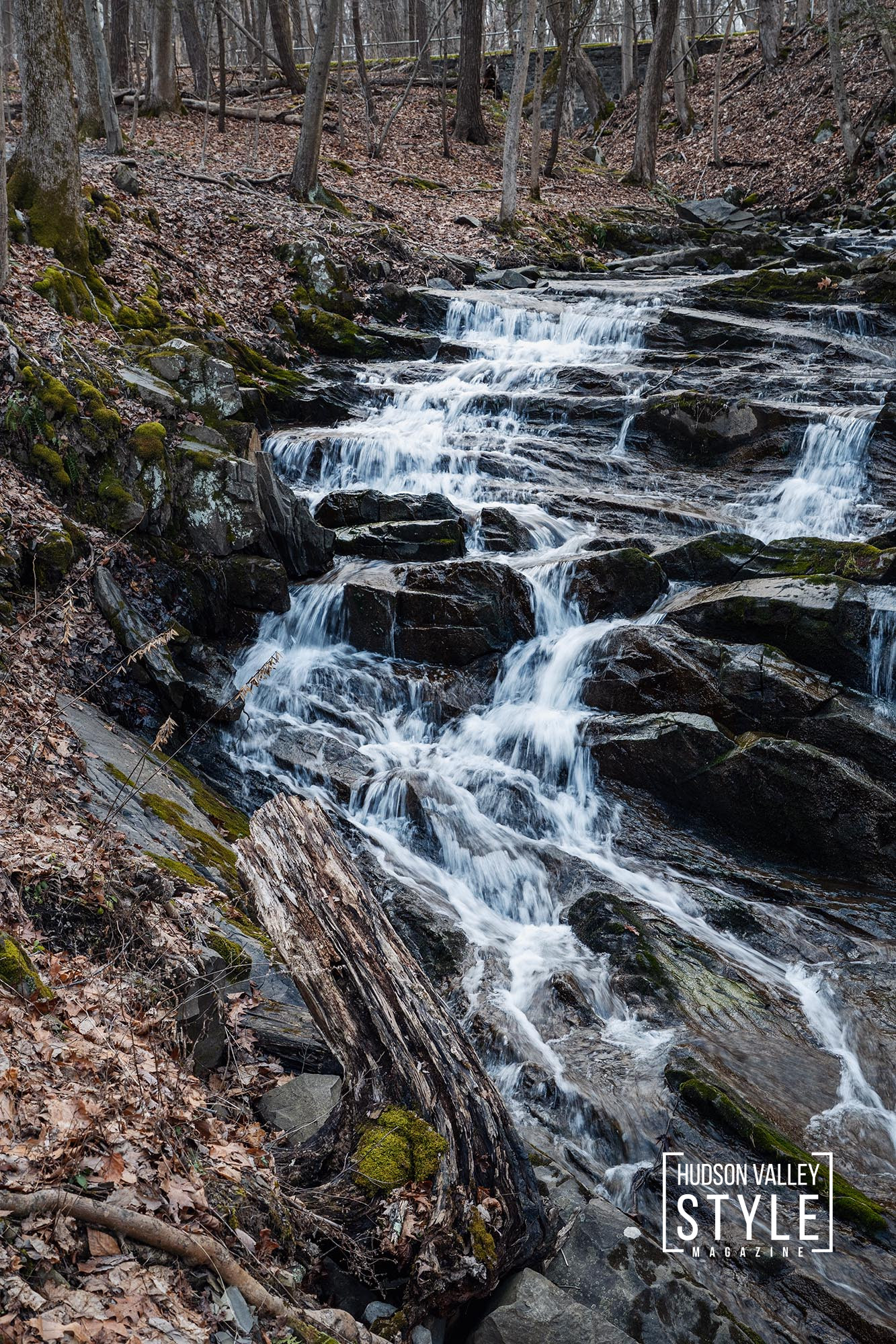 Embrace the Great Outdoors: Top Hiking Spots and Scenic Beauty in Saugerties, NY – Hiking Adventures with Photographer, Fitness Trainer, and Bodybuilding Coach Maxwell Alexander – Presented by Alluvion Vacations – Sustainable Travel Pioneers in the Hudson Valley and Catskills