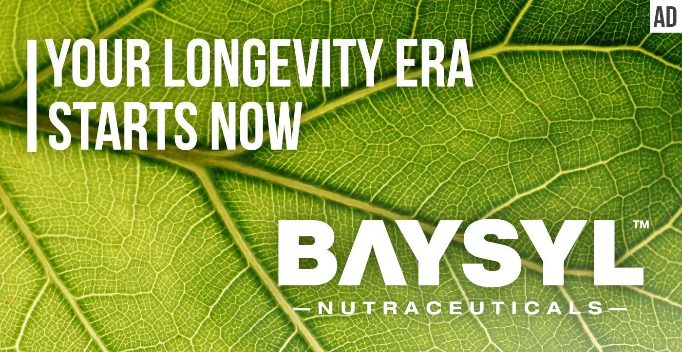 BAYSYL Nutraceuticals – Science-based formulas for brain health, focus, and longevity