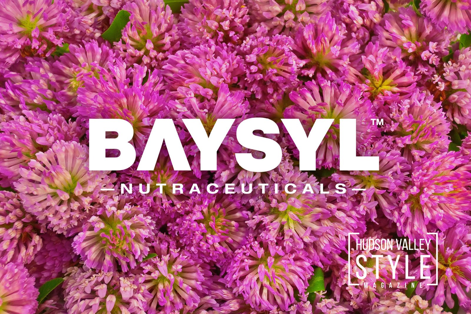 Emotional Wellness, Reimagined: BAYSYL and Hudson Valley Style Magazine Partner to Elevate the Conversation – Powered by BAYSYL Nutraceuticals – Supplements for the Modern Human