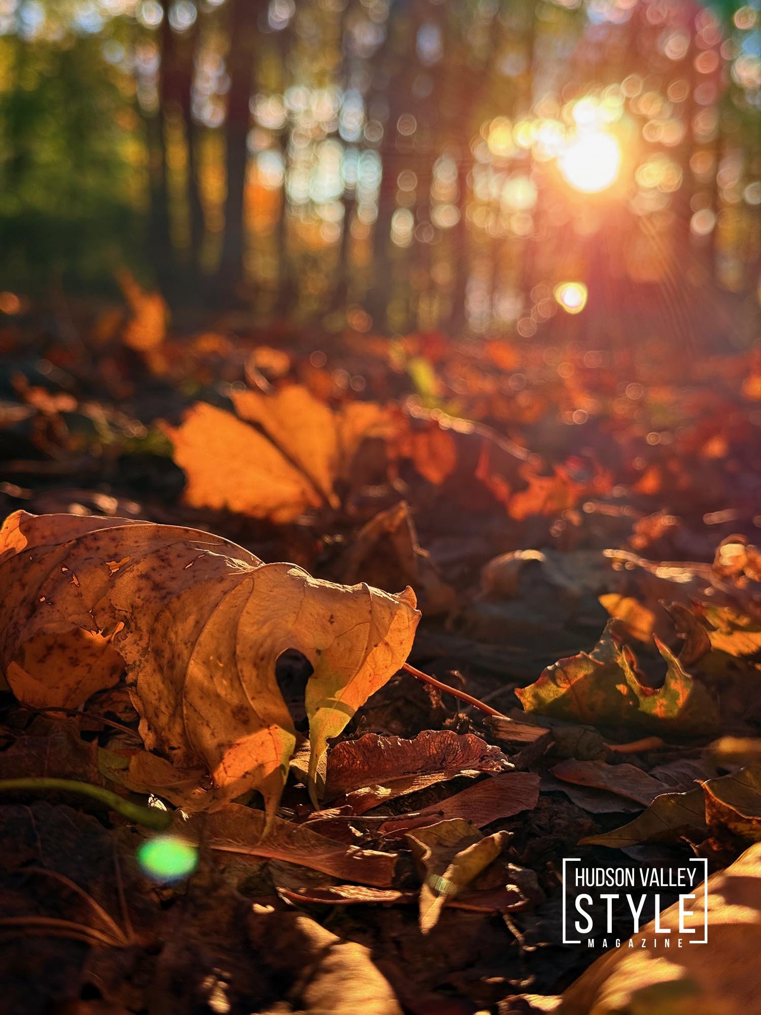 Hudson Valley in Fall: A Living Poem of Light, Color, and Style – Photography and Reflections by Maxwell Alexander