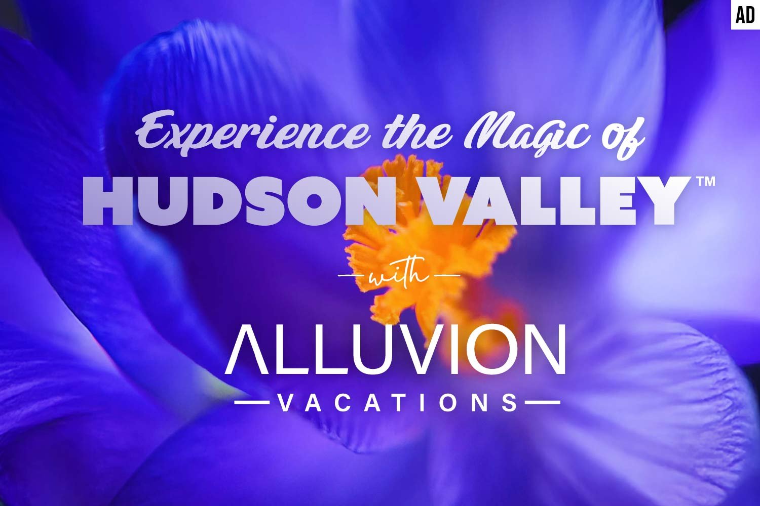 Hudson Valley Vacation Rentals with heated pools and hot tubs by Alluvion Vacations